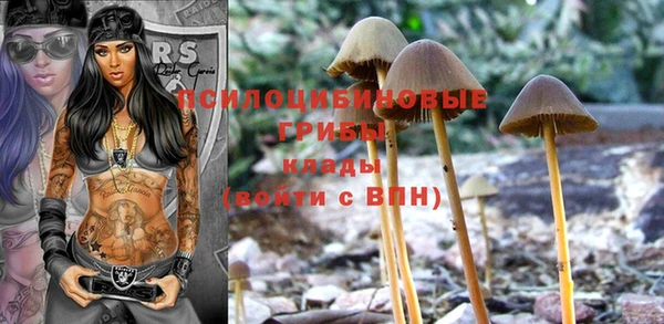 ГАЛЛЮЦИНОГЕННЫЕ ГРИБЫ Белоозёрский