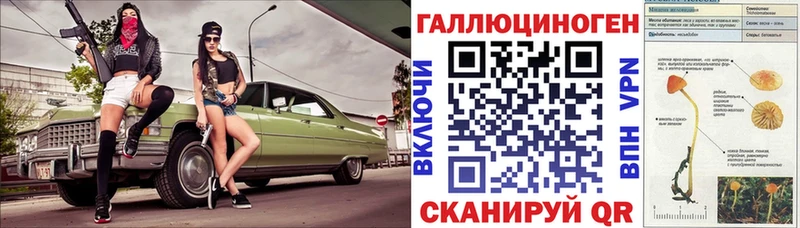 купить цена Надым блэк спрут рабочий сайт Псилоцибиновые грибы Psilocybine cubensis