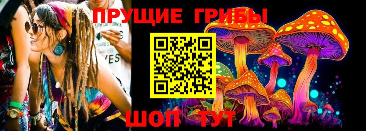 Галлюциногенные грибы Cubensis Надым