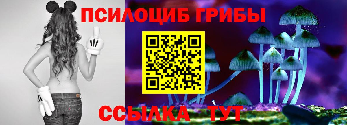 Псилоцибиновые грибы ЛСД  Вход с VPN  где можно купить наркотик  Надым  Псилоцибиновые грибы мухоморы 